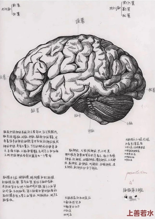 下载个黄色片 网友推荐这部影片情节紧凑画面精美让人欲罢不能绝对值得一看不容错过的精彩内容